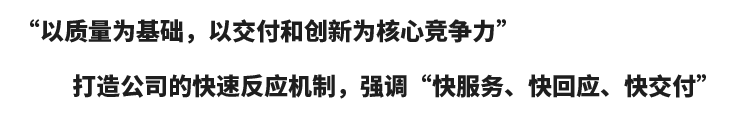 核心競(jìng)爭(zhēng)力 核心競(jìng)爭(zhēng)力