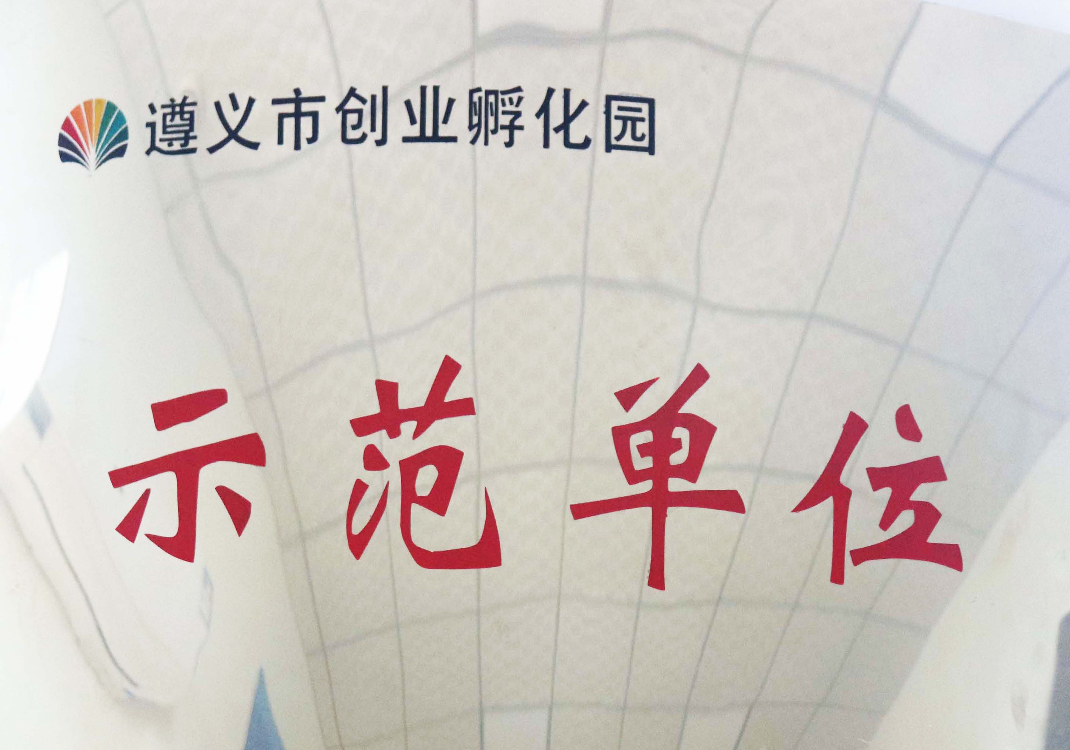 3、一種四孔位防錯裝連接器（實用新型）